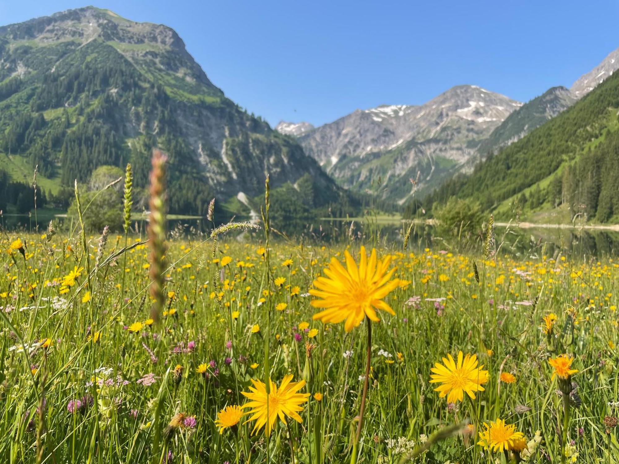 Alpenhotel Sonneck - Mit Bergbahnticket Hotel 3*